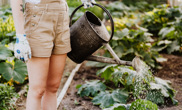 INYULFACE cultiver notre jardin Candide Voltaire