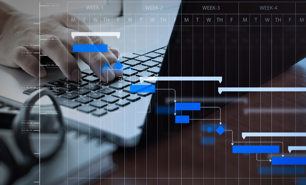 INYULFACE gestion de projet