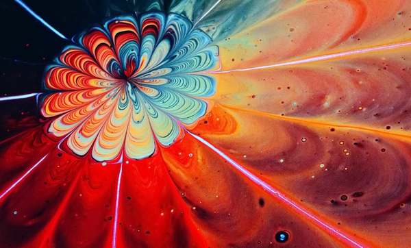 Inyulface Climat recherche innovation Tôuttt est dans tôuttt - Photo de Fiona Art via Pexels