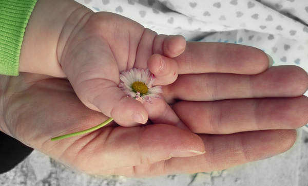 cadre confiance donnees personnelles