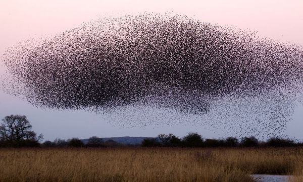 Veille Inyulface #89 : observabilité et anticipation