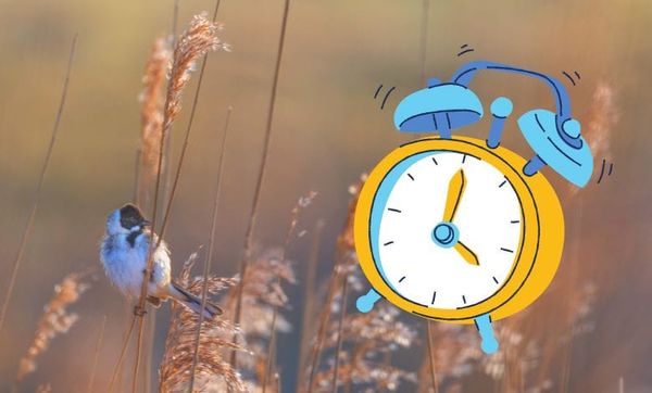 La veille innovation Inyulface reprend du service pour la rentrée