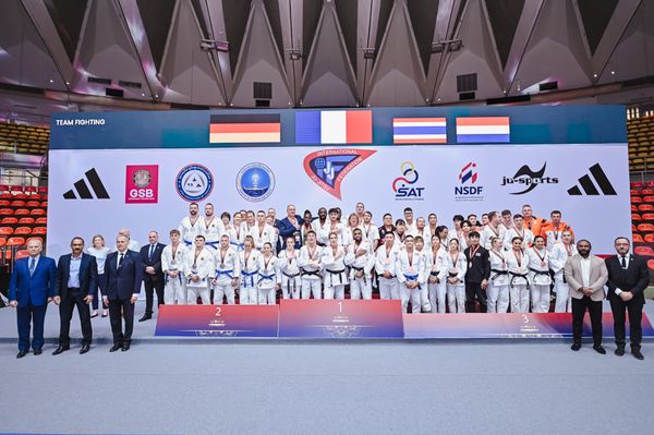 Day of Team Spirit, Inclusion & Combat Excellence