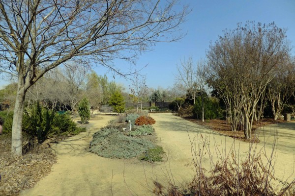  Clovis Botanical - PHOTO BY ADAM BLAUERT 