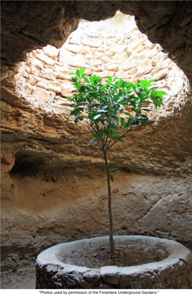  Photo by adam blauert 