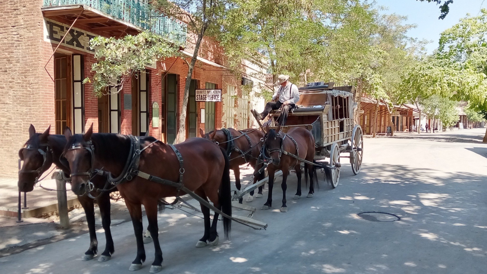  A team of horses drawing an authentic stagecoach is ready to take another group of visitors on a historic ride through Columbia, California.  Photo:  Steve Newvine 