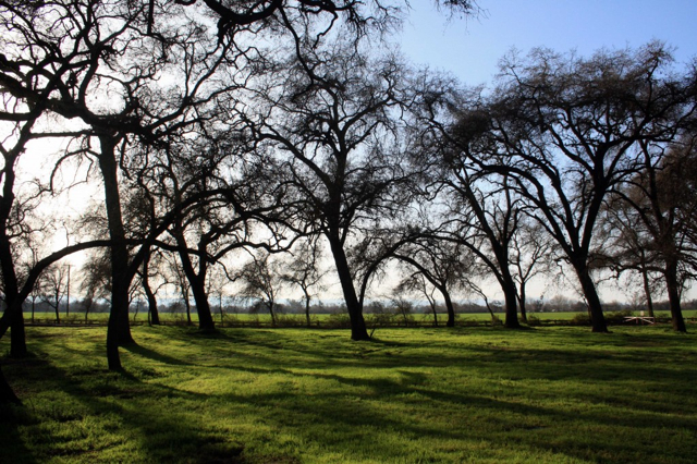 George J. Hatfield Recreation Area Merced County