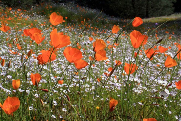  Photo By Adam Blauert 