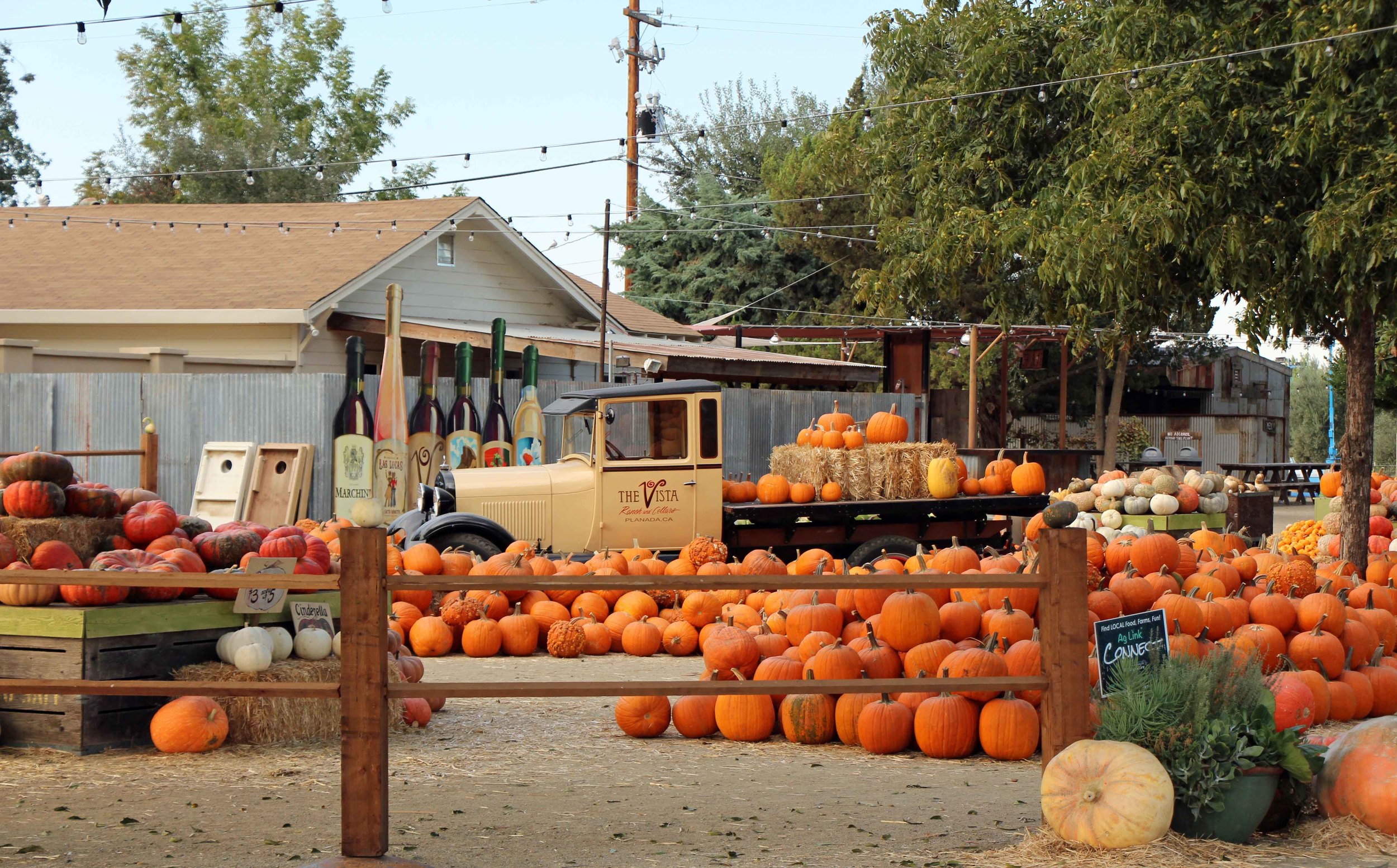  Photo by Adam Blauert 