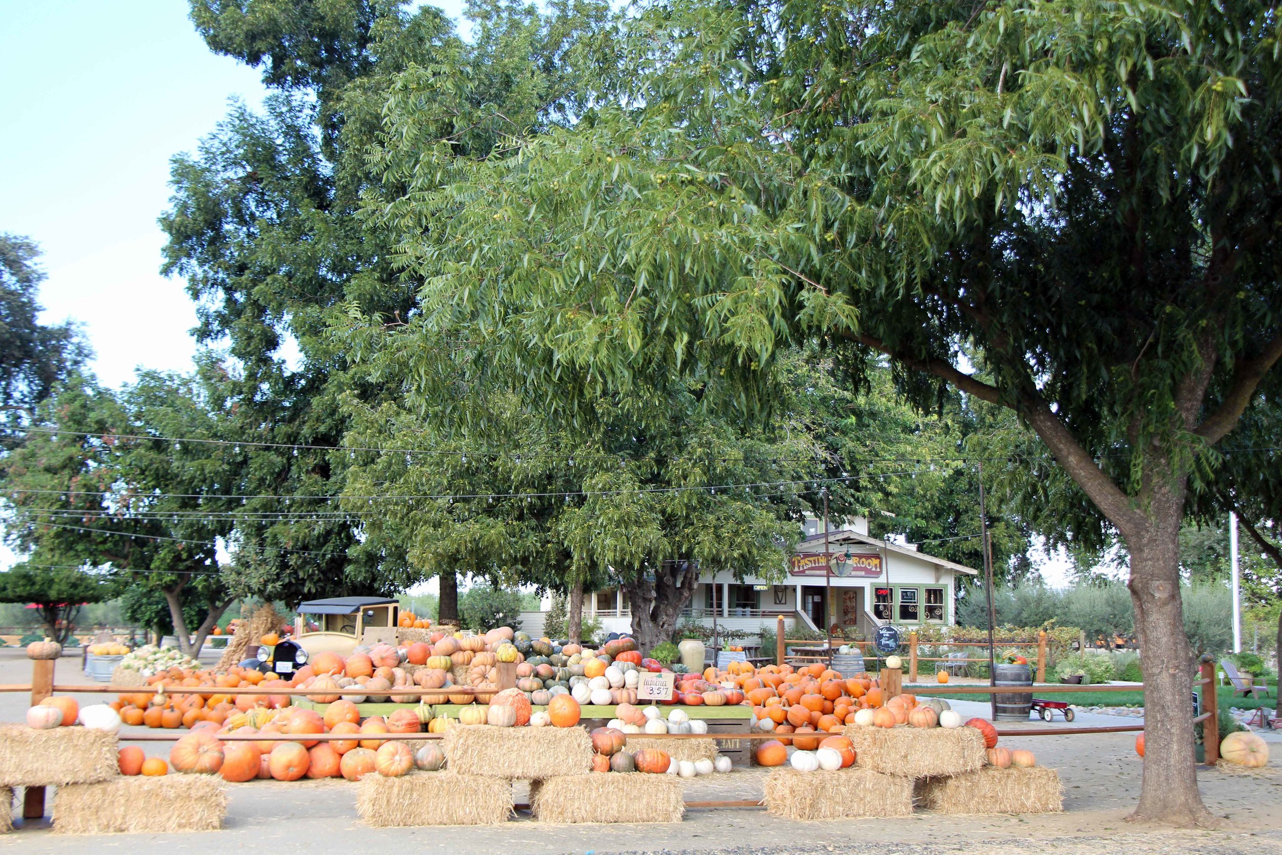  Photo by Adam Blauert 