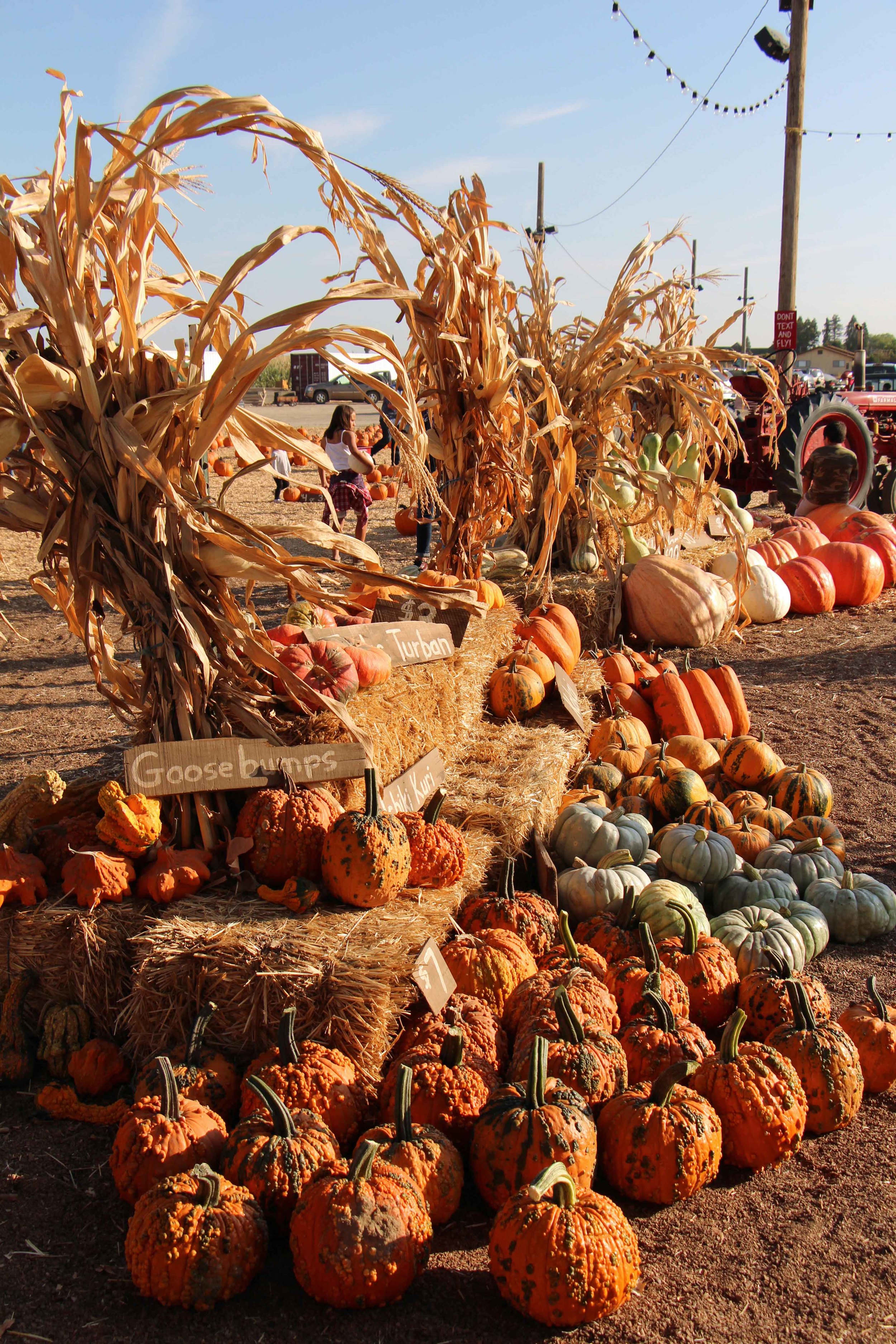  Photo by adam blauert 