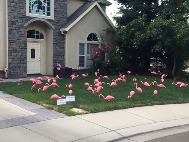  A small sign in the front left of this lawn tells the family living there and others that this decorating was done to raise money for the St. Paul Lutheran Fifth Grade.  Photo by Steve Newvine  