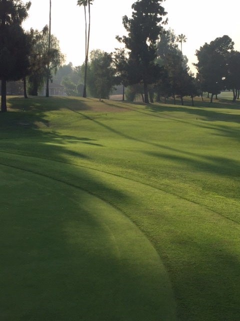   Picture from the Newvine Personal Collection  