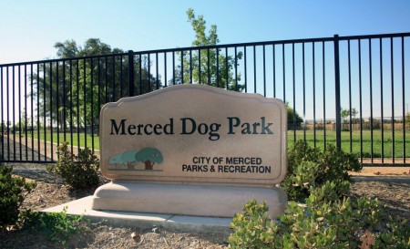 M-DOGS (Merced Dog Owners Group)