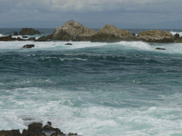  Pacific ocean 