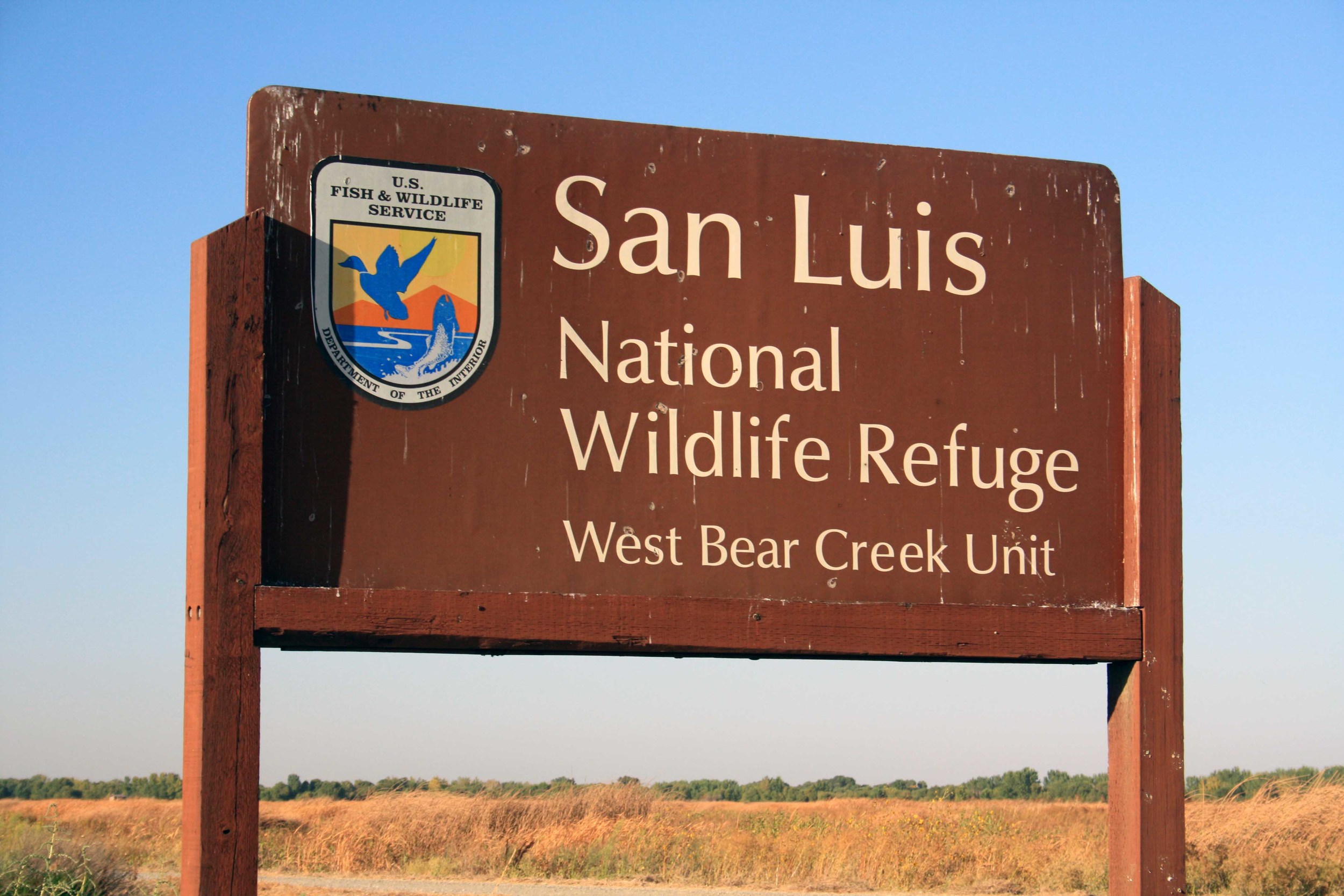  San Luis NWR - PHOTO BY ADAM BLAUERT 