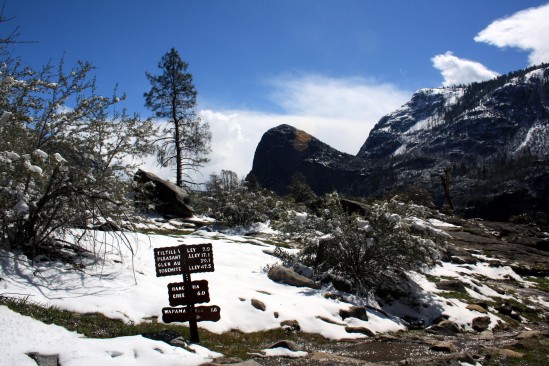  Spring Late Snowmelt Hetch Hetchy Trail - Photo by Adam Blauert 