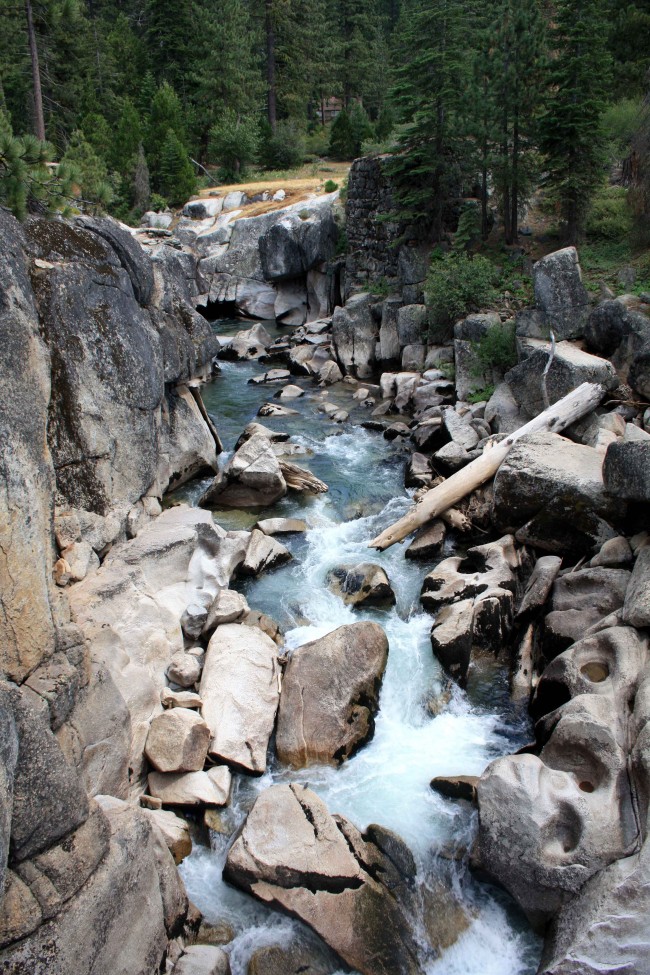 Stanislaus National Forest