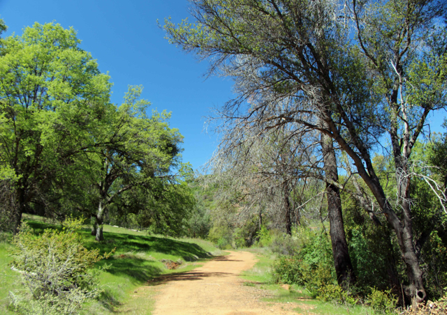  Stockton Creek  - PHOTO BY ADAM BLAUERT 
