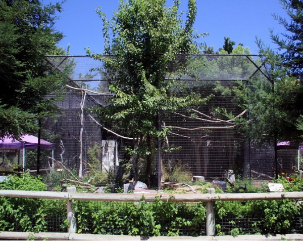  zoo 2 