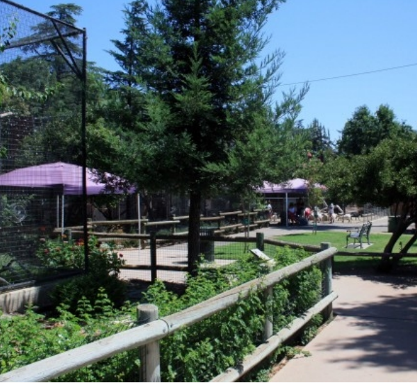  zoo 3 