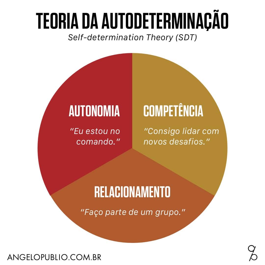 Teoria da Autodeterminação (Self-determination Theory - SDT)