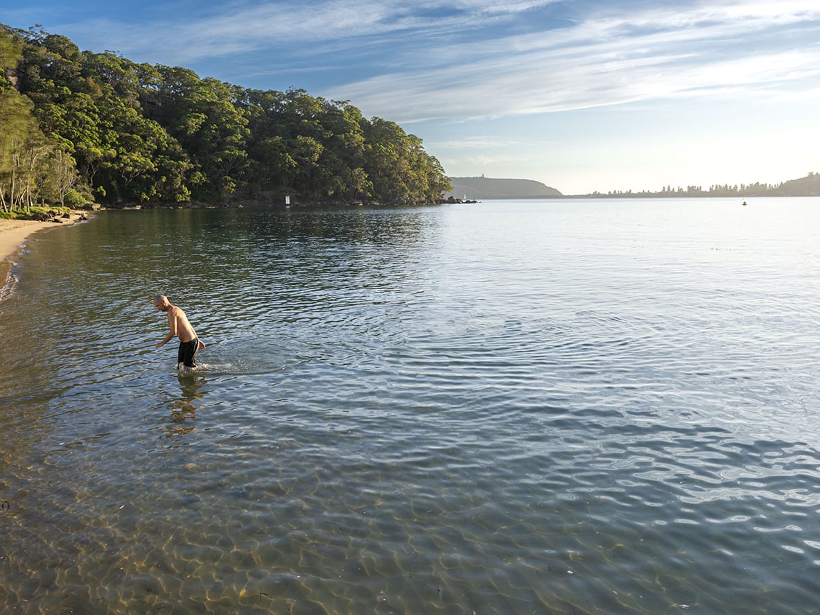 A swimmer wades into the clear shallows at Currawong Beach, Pittwater