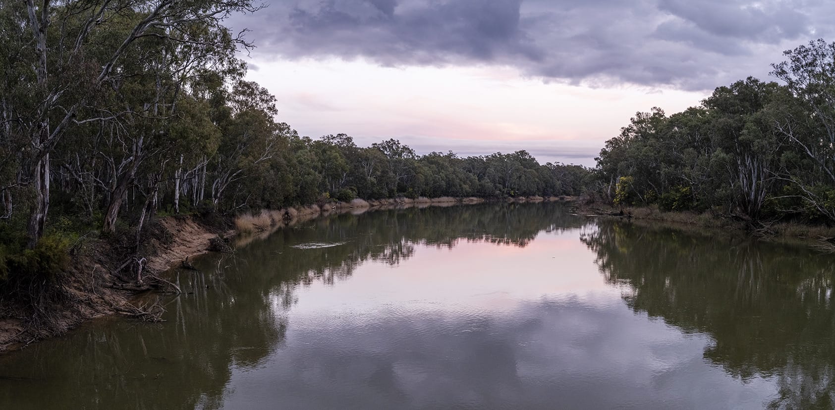 The Murray River at dusk near Tocumwal, still water holding a pink sky between banks of river red gums
