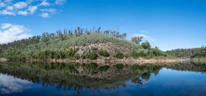 A treed hillside reflected in the still Shoalhaven River