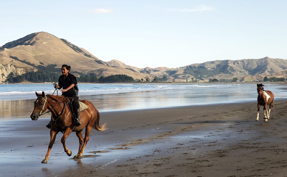 Two riders and their horses on the wet sand at Tolaga Bay, New Zealand