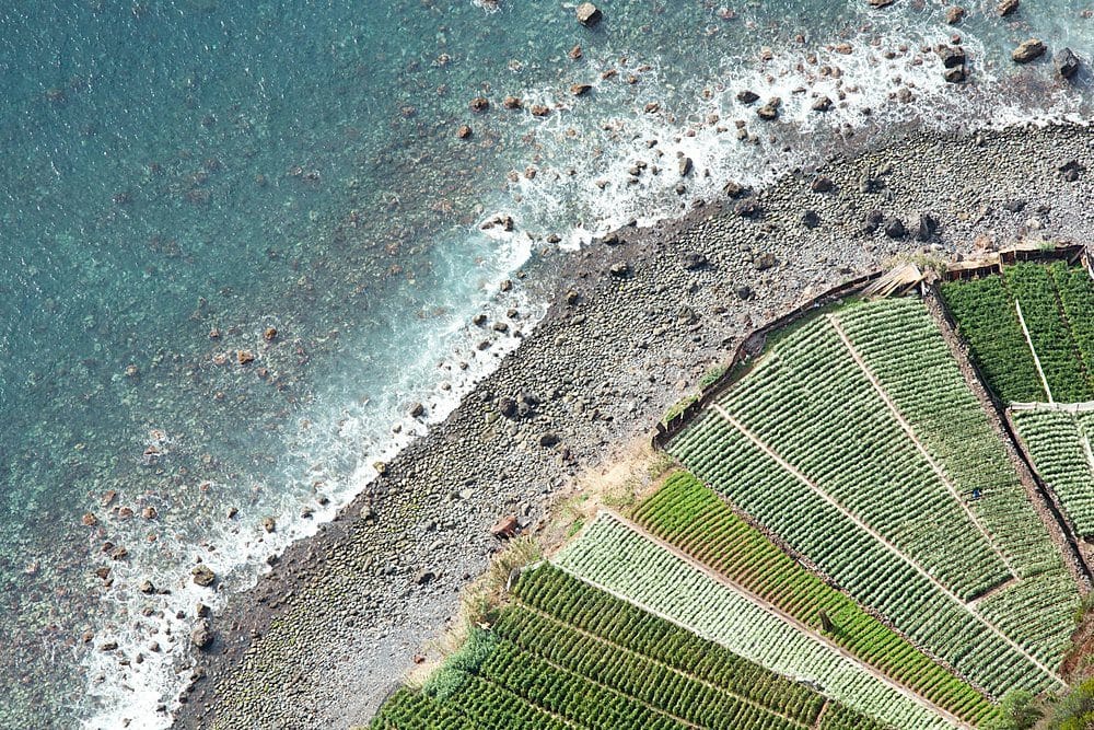 Seaweed farm plots meeting the surf, seen from above; farms like these need no fresh water, land or fertiliser