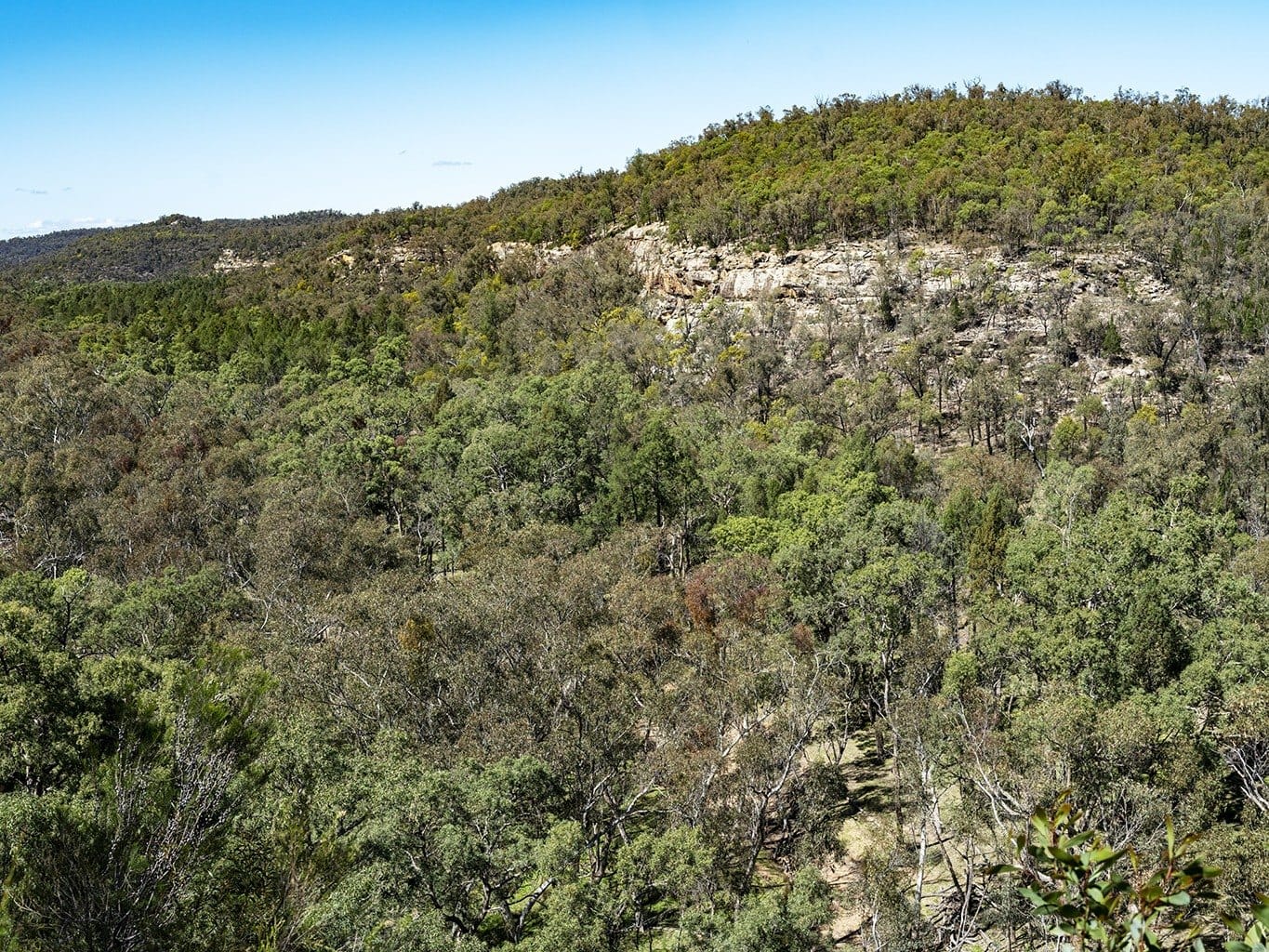 Ridge country above the Pilliga forest, north west New South Wales