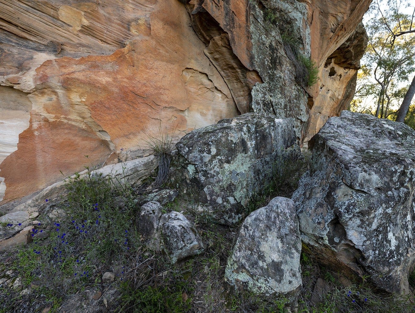 Orange sandstone overhang in the Pilliga forest