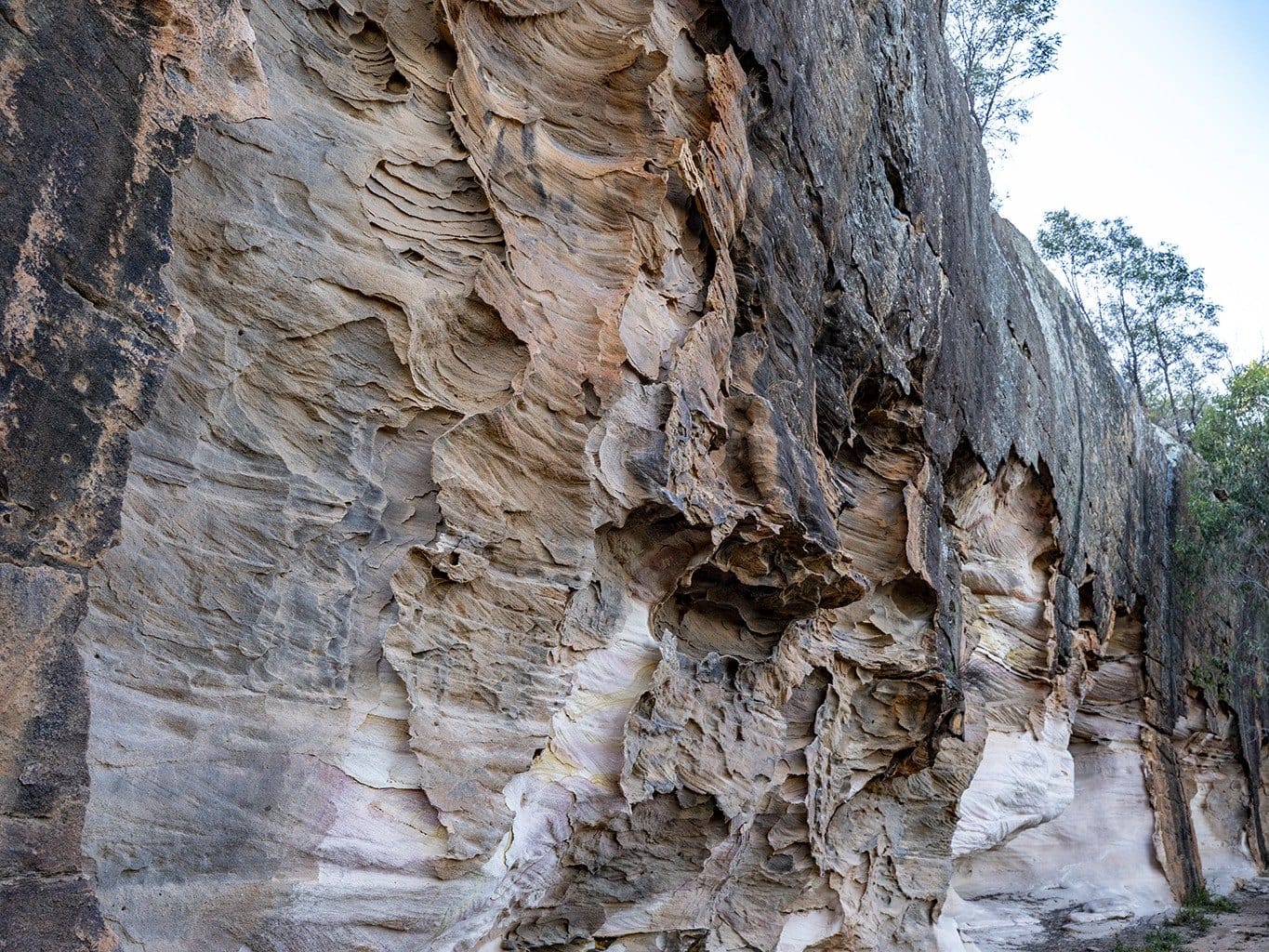 Weathered sandstone wall, Pilliga forest