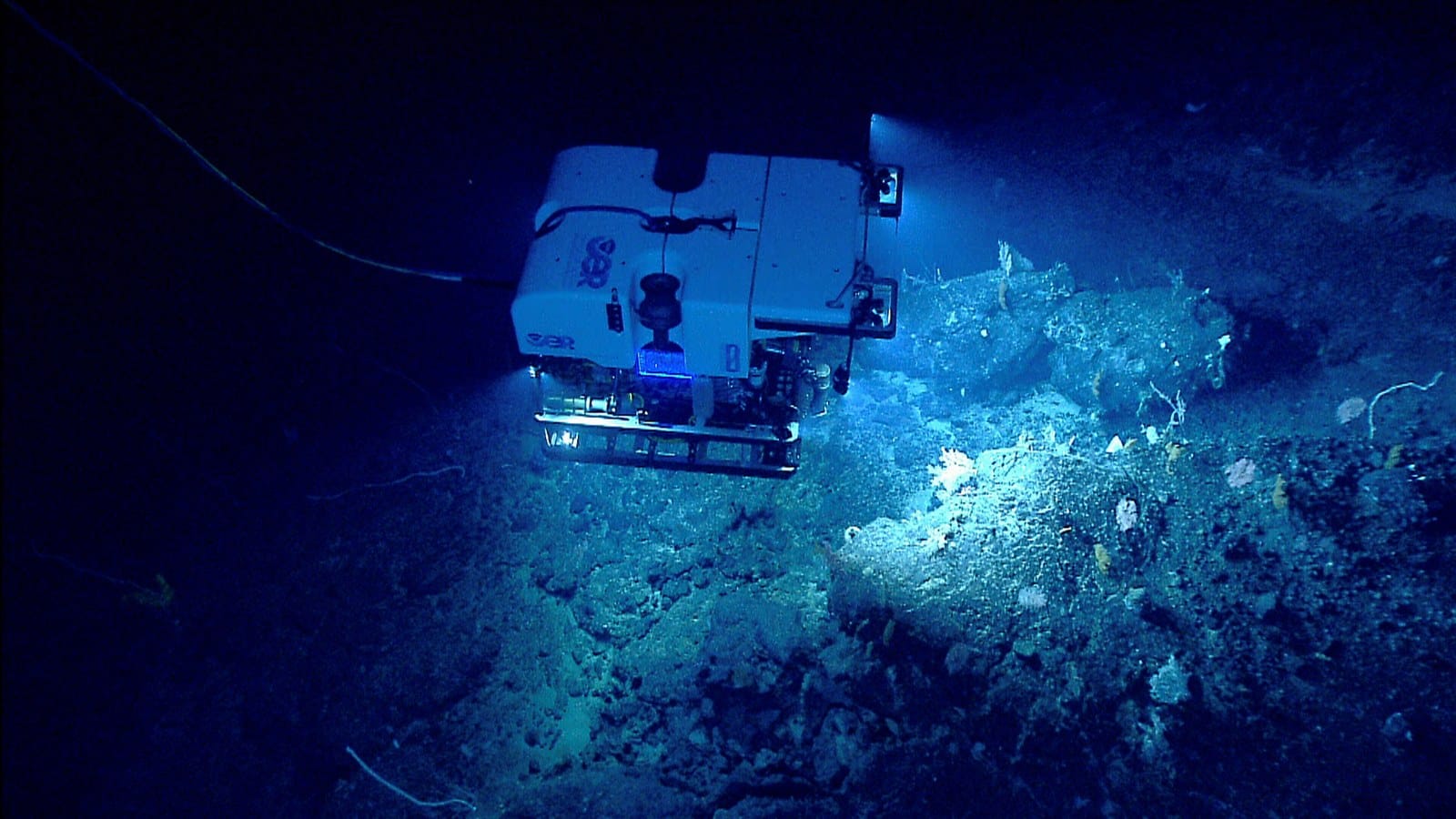 A deep sea camera vehicle over corals on a seamount