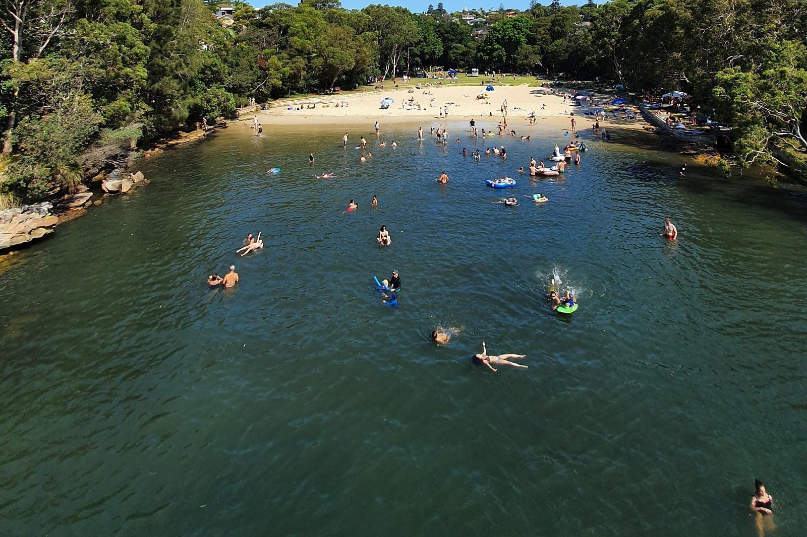 Parsley Bay, Vaucluse: swimmers in the netted enclosure on a sunny summer afternoon, with the beach and bushland behind