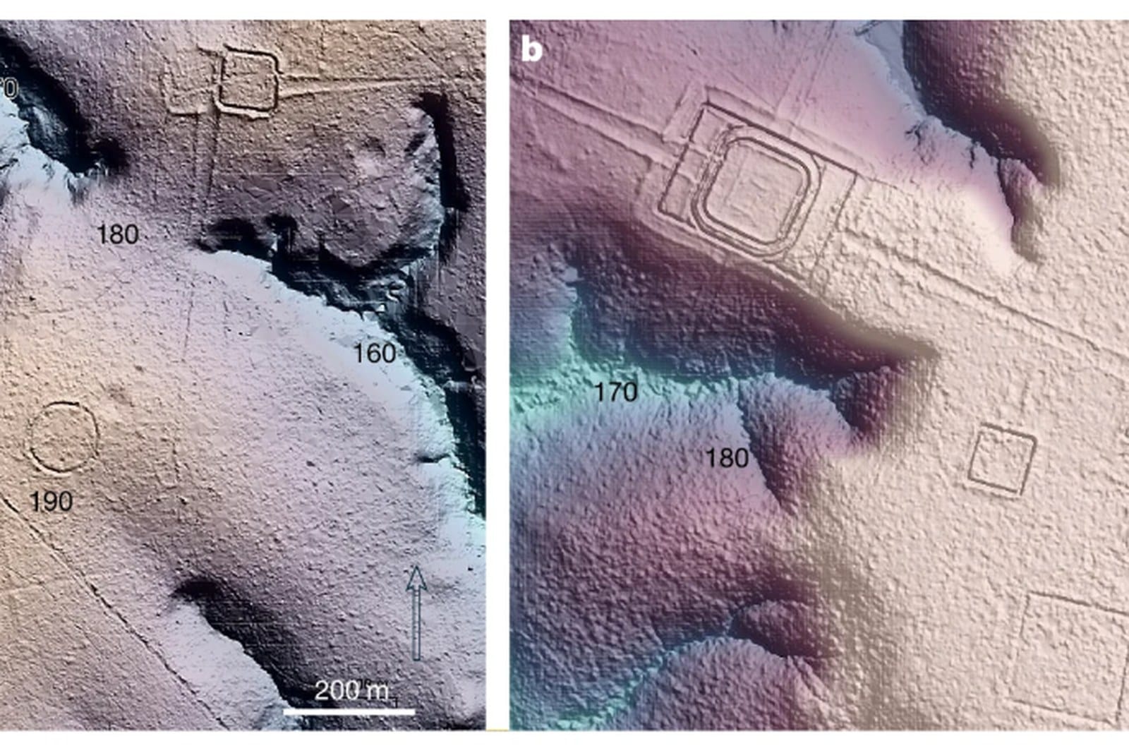 Laser scan images of circular and square earthworks under the Amazon canopy
