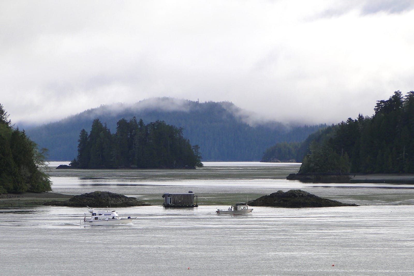 Forested islands and misty hills across the calm water of Clayoquot Sound