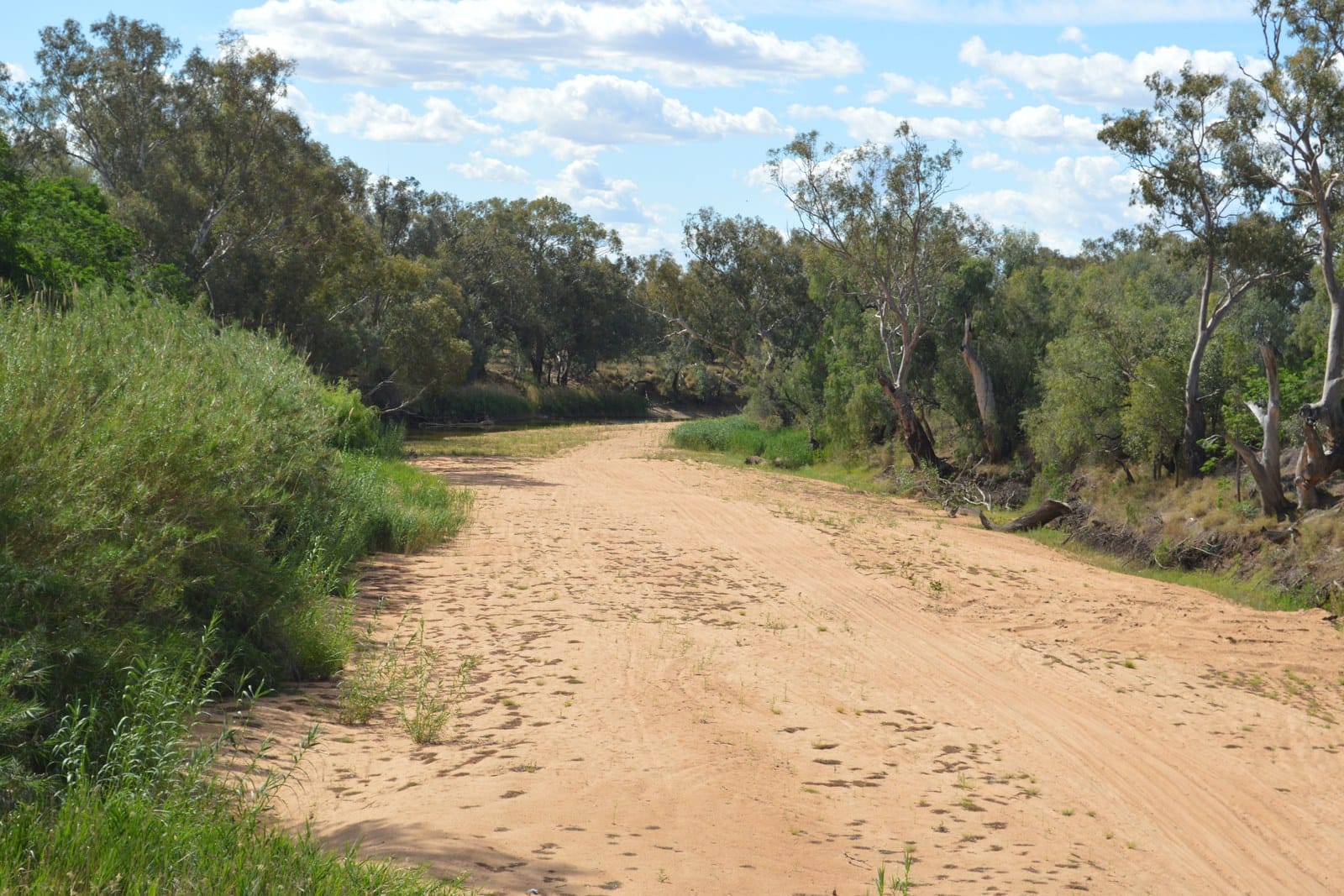 A slow river between sandy banks and gum trees
