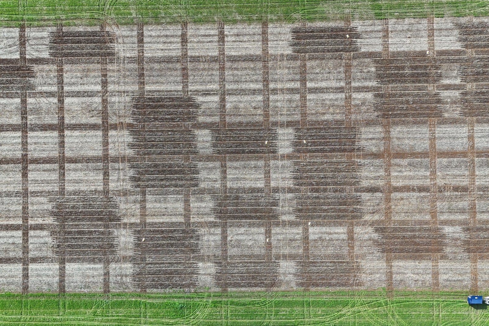 Aerial view of rectangular crop trial plots in different shades of green