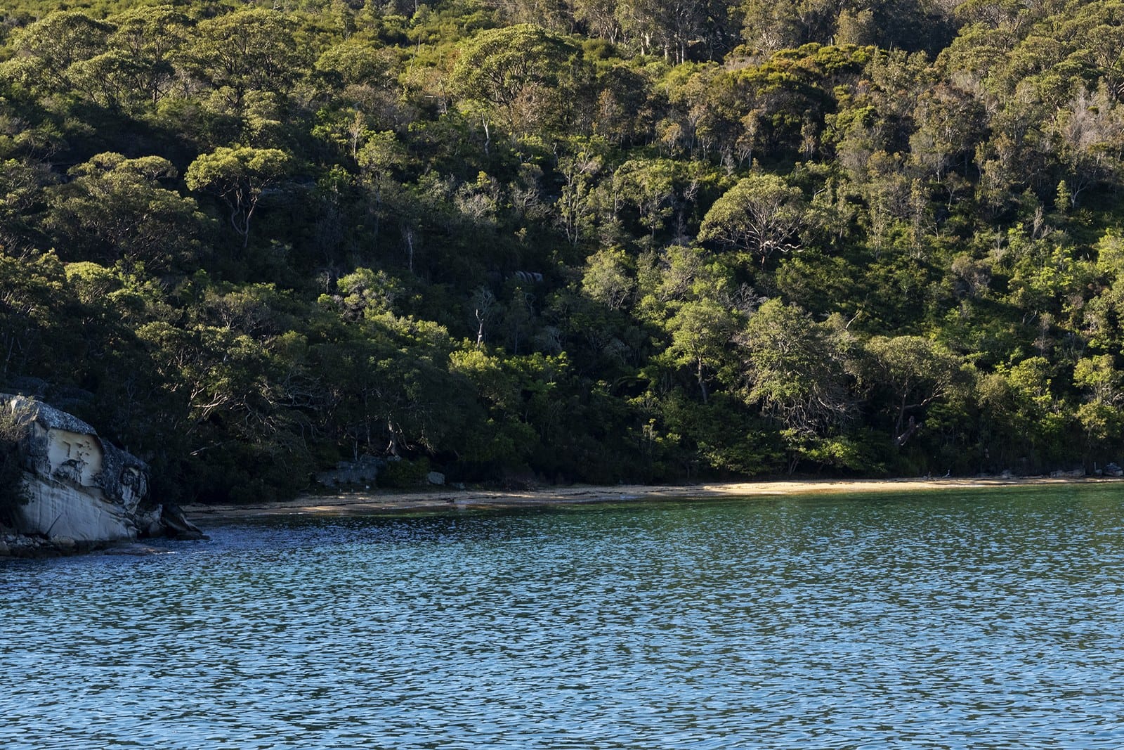 A strip of pale sand below bush seen across calm green water