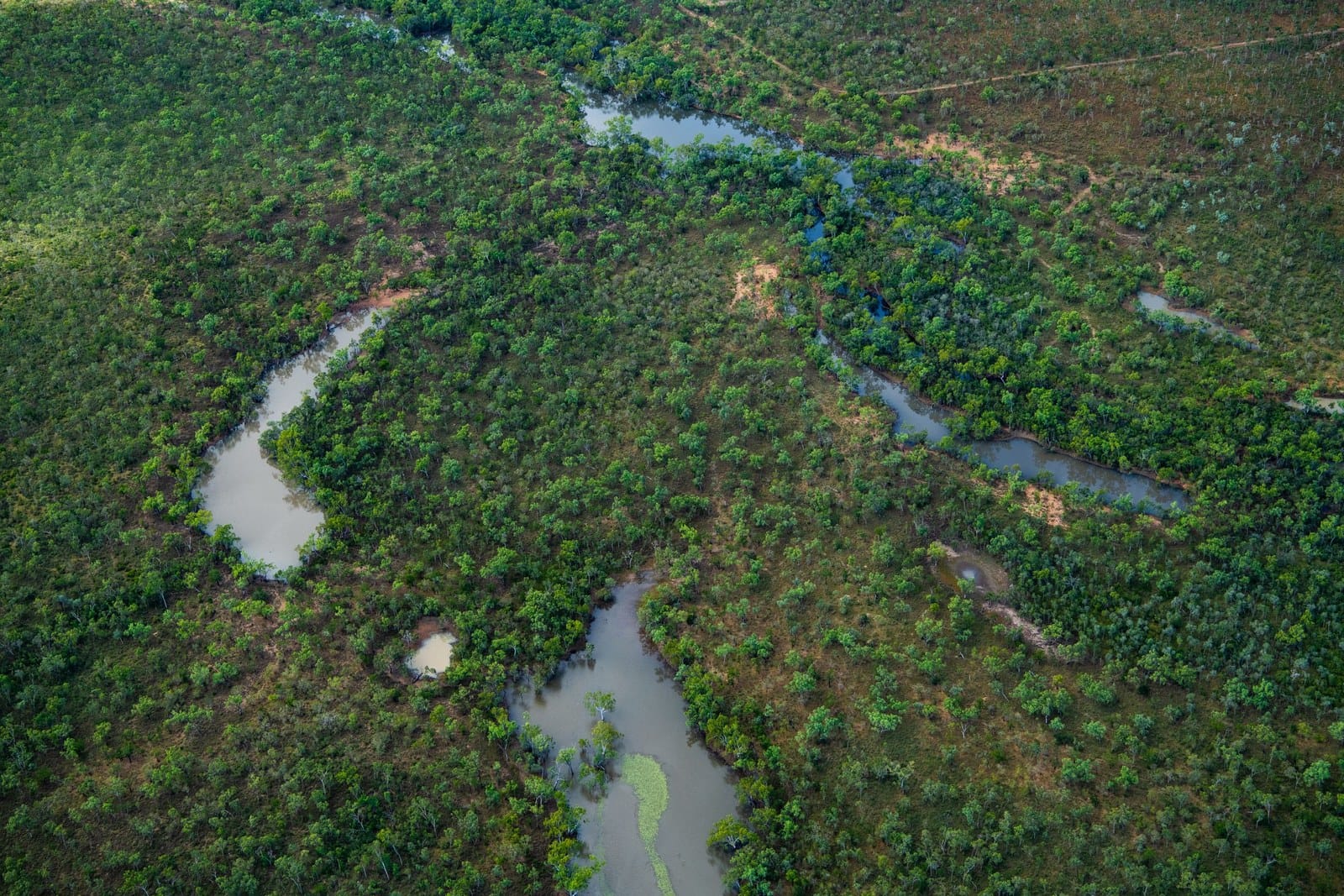 Aerial view of winding waterways and green bush on Westmoreland Station