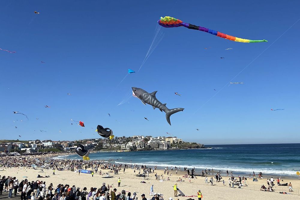 Shark and rainbow kites flying over a crowded Bondi Beach at the Festival of the Winds