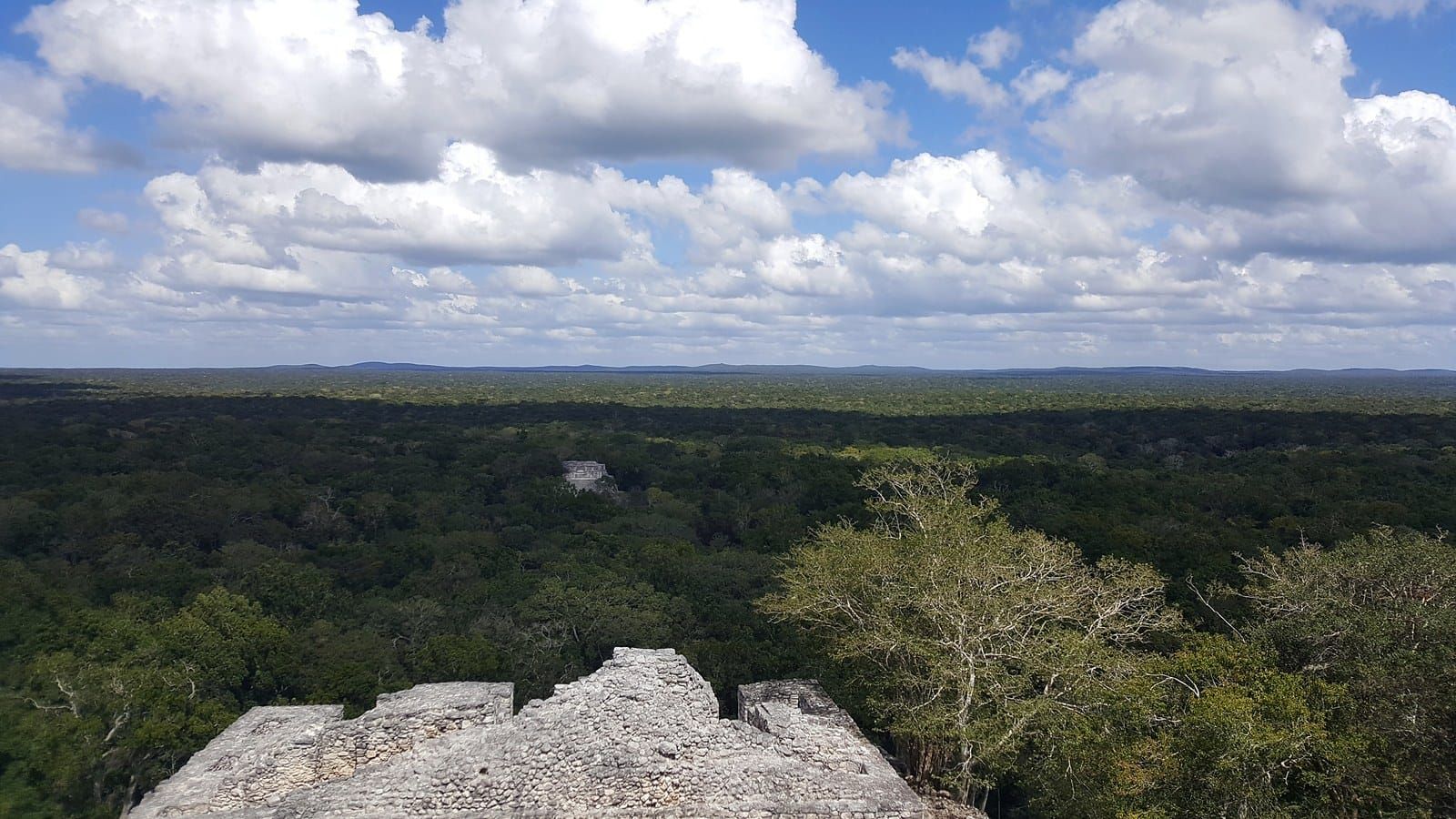 Unbroken green rainforest canopy stretching to the horizon, seen from the top of a Maya pyramid at Calakmul