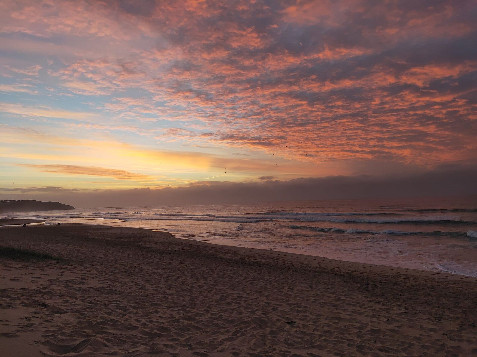 Dee Why Beach, Sydney