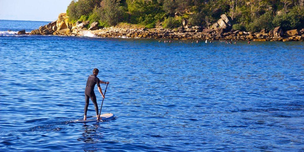 Shelly Beach and Cabbage Tree Bay