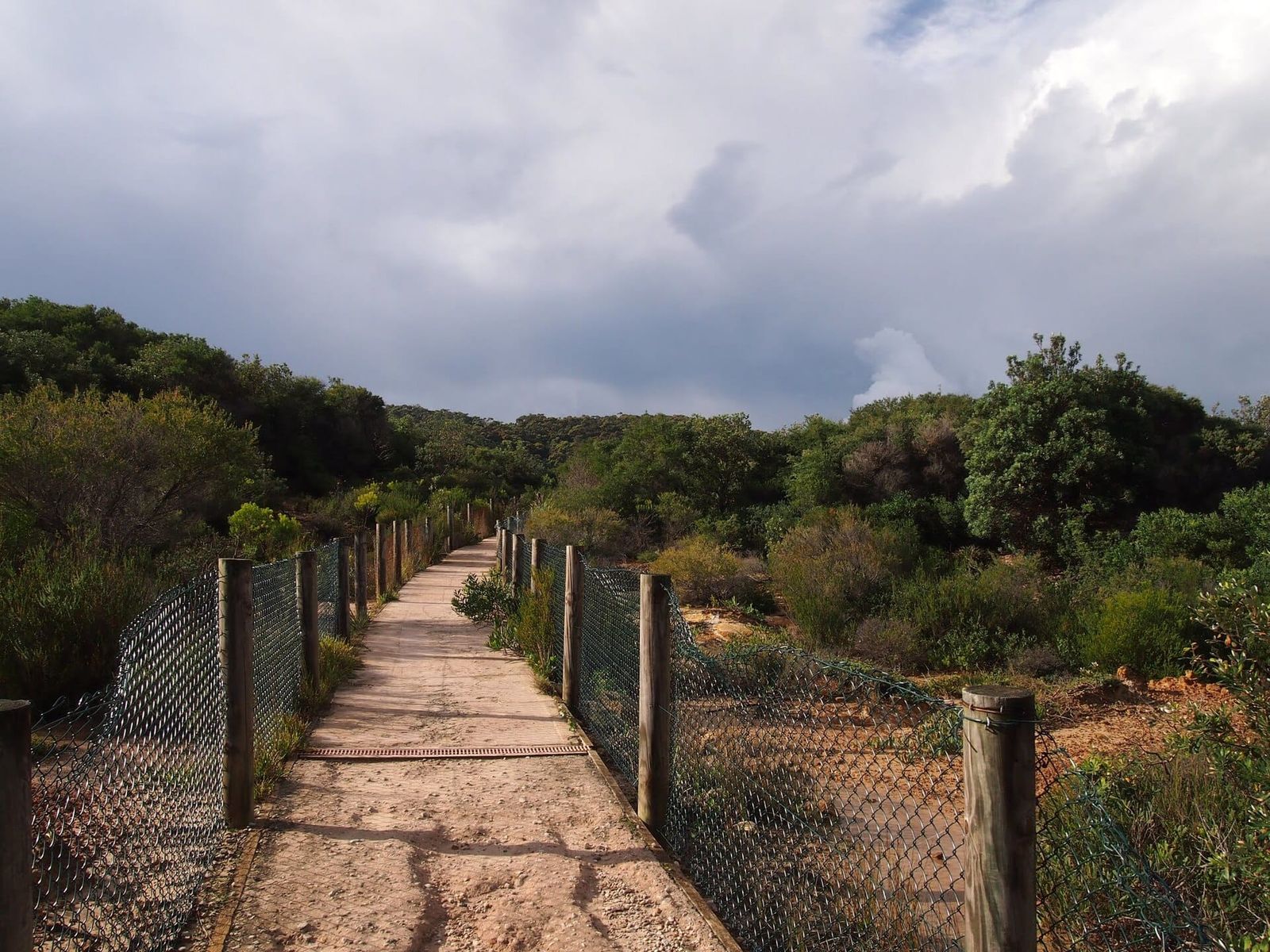 Little Congwong Beach, Sydney