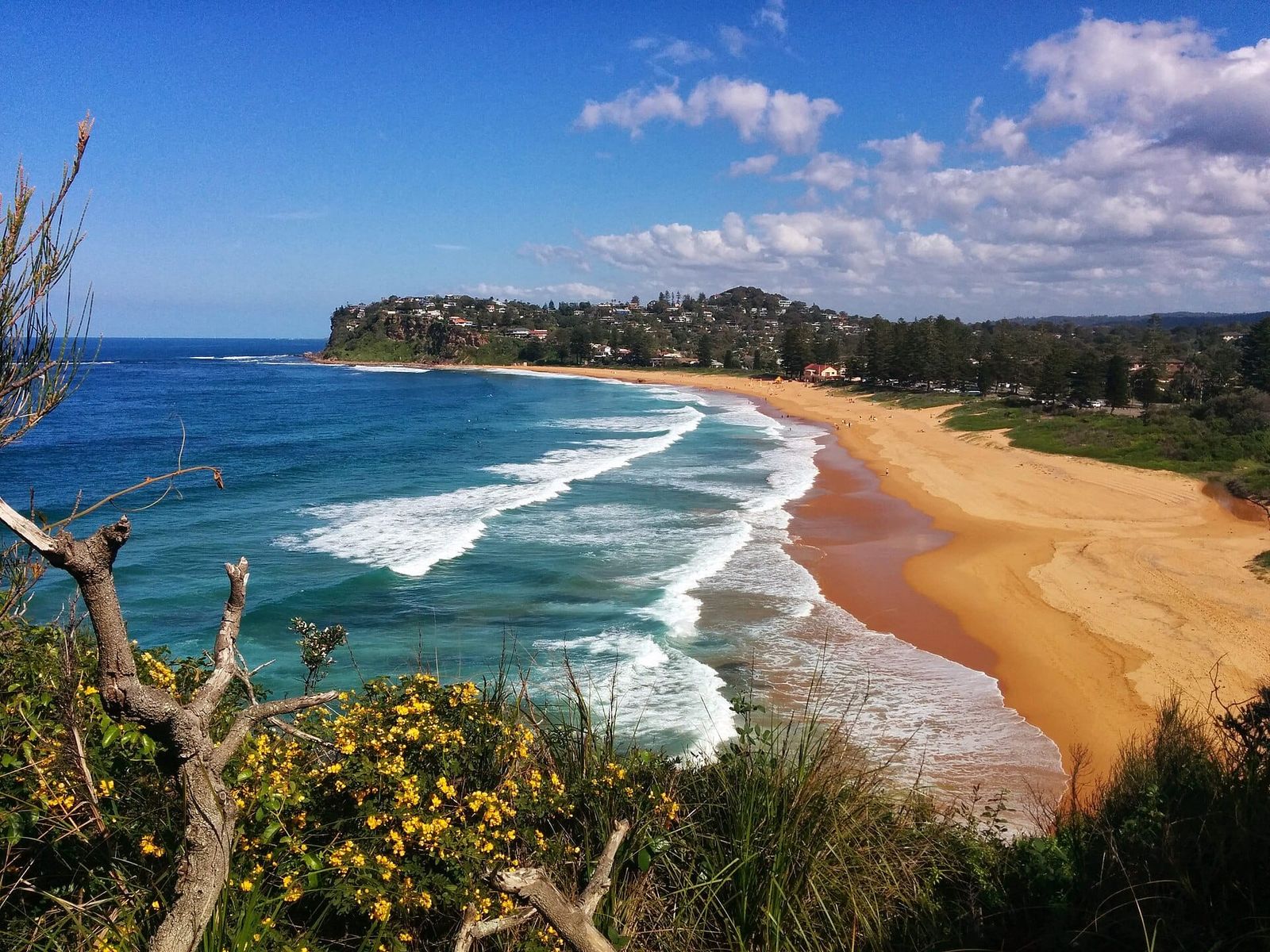 Newport Beach, Sydney