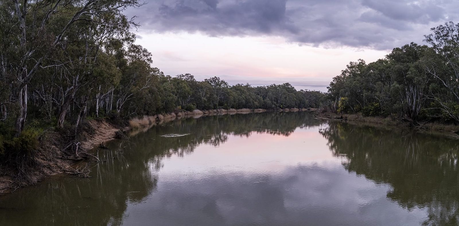 The Murray River at dusk near Tocumwal, still water holding a pink sky between banks of river red gums