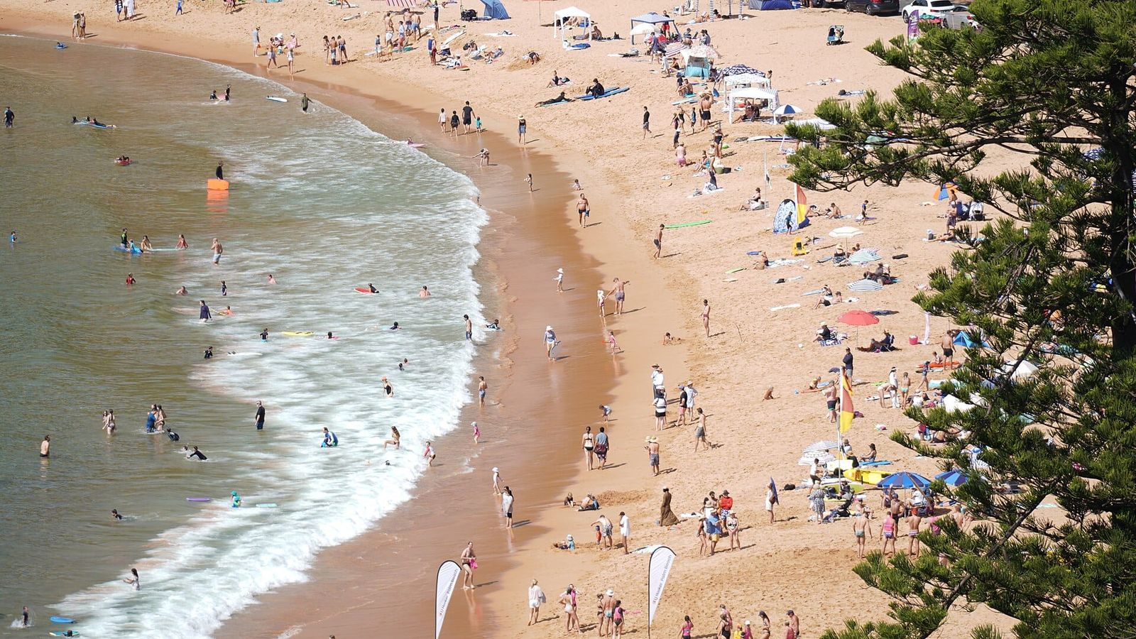 Palm Beach, Sydney